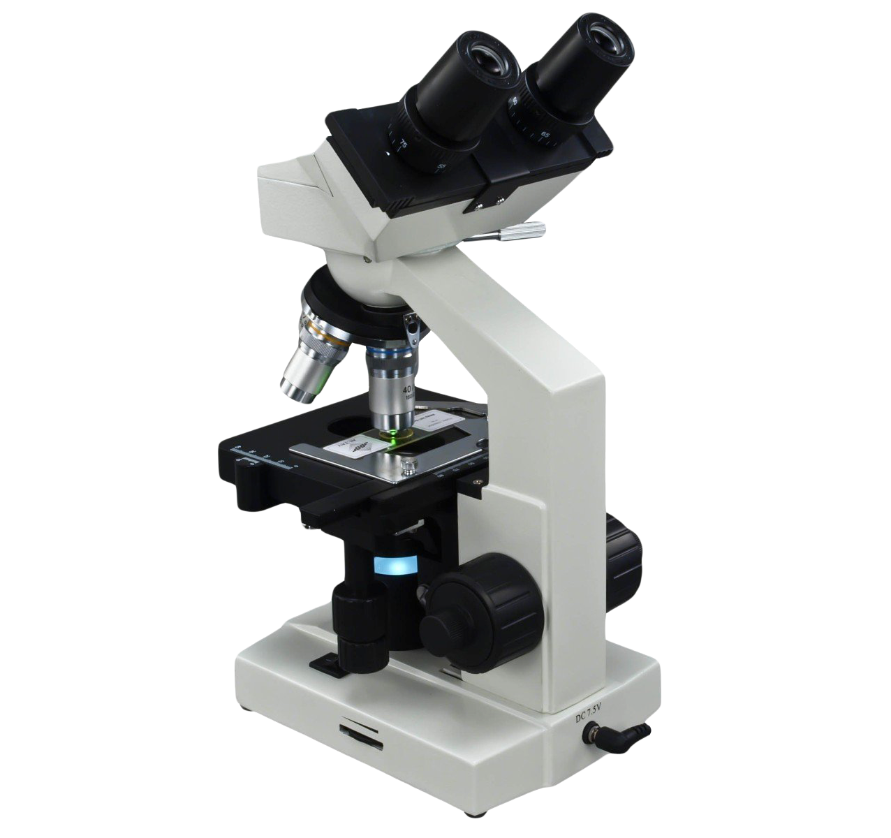 Wissenschaftsmikroskop Transparentes Bild