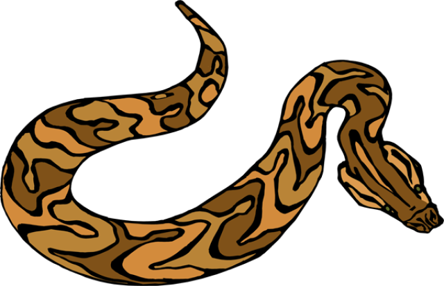 Vektor Anaconda PNG Gambar Latar Belakang