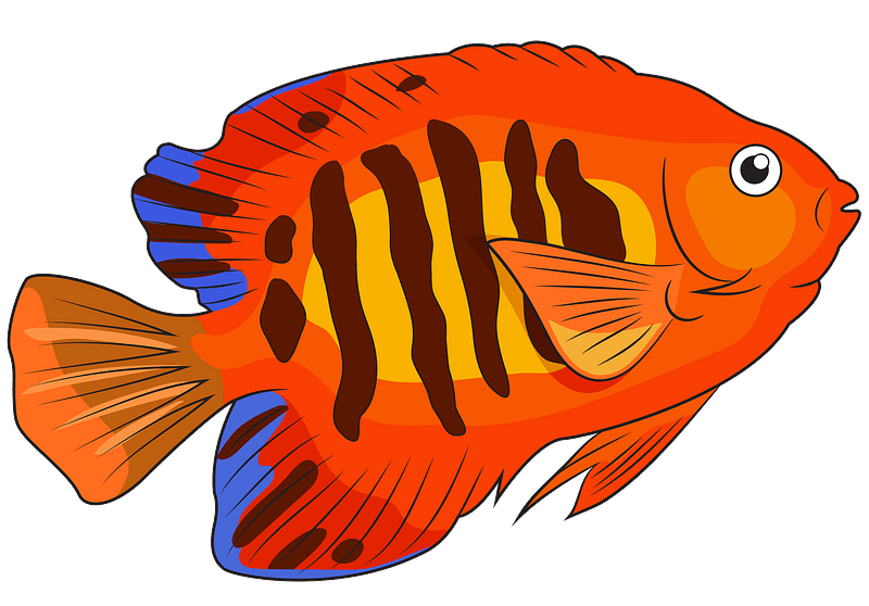 Vector angelfish Gratis PNG Afbeelding