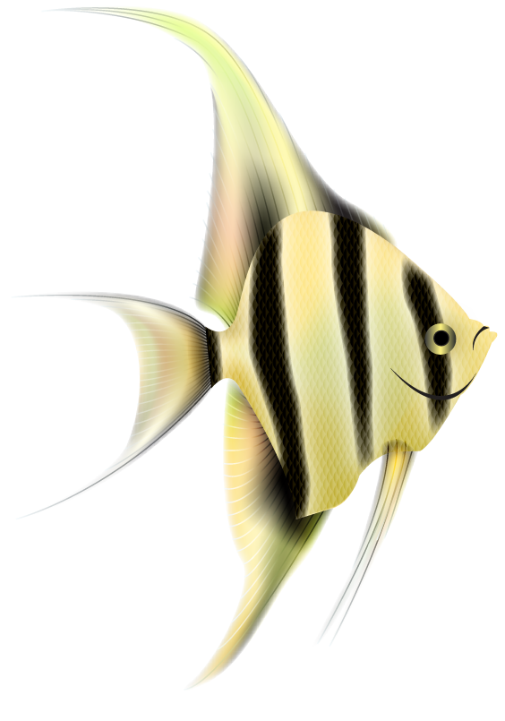 Vector Angelfish PNG Image