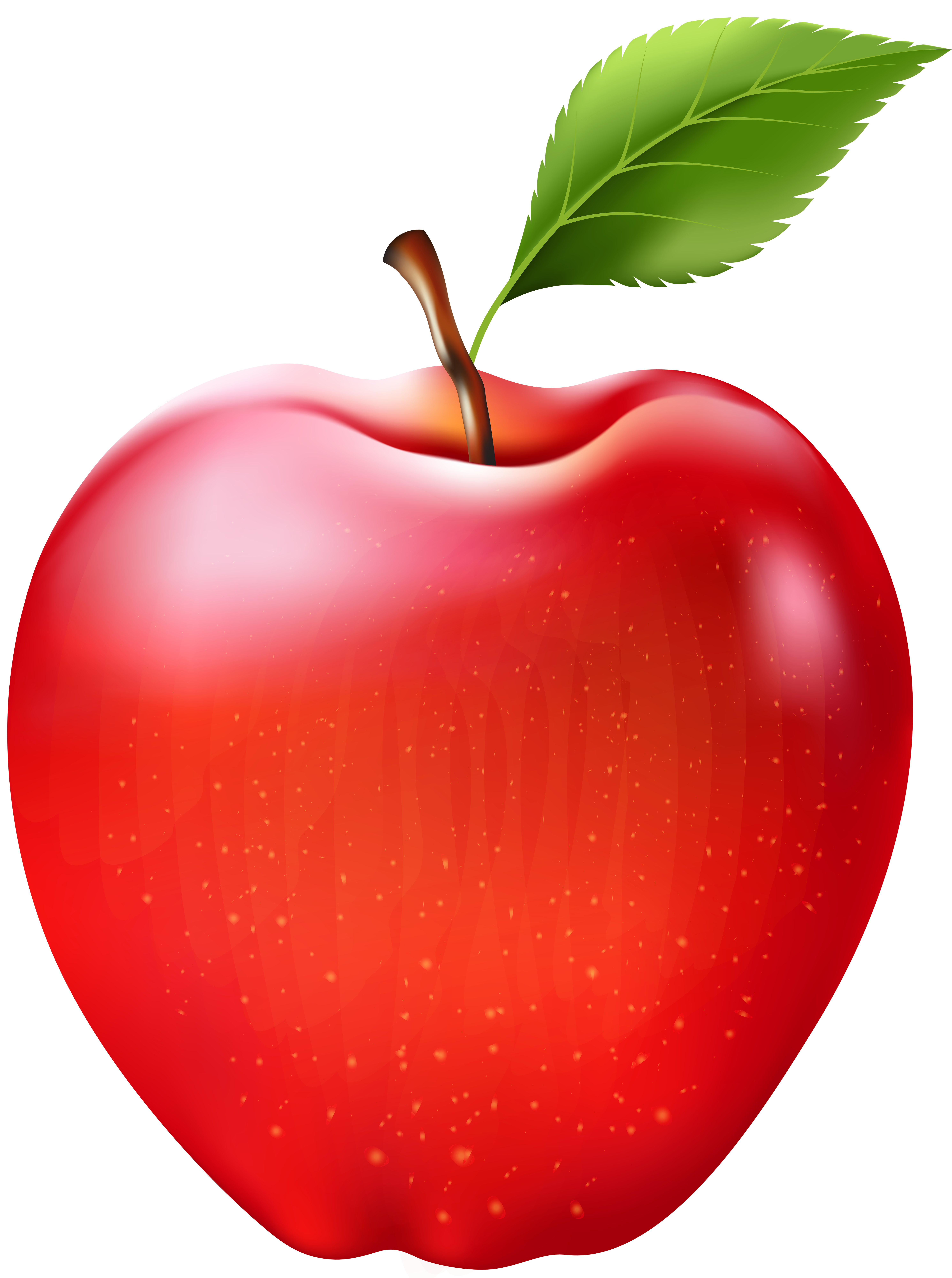 ناقلات التفاح الفاكهة PNG صورة شفافة