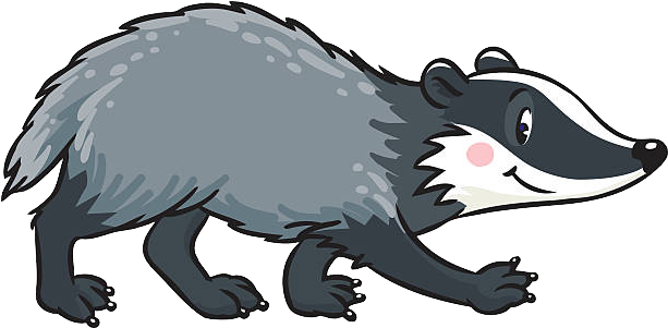 Vector Badger PNG High-Quality Image
