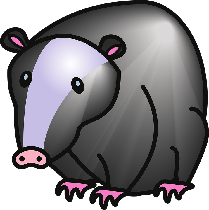 Vector Badger PNG photo