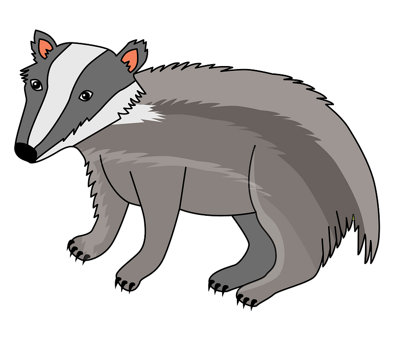 Vector Badger PNG-Afbeelding