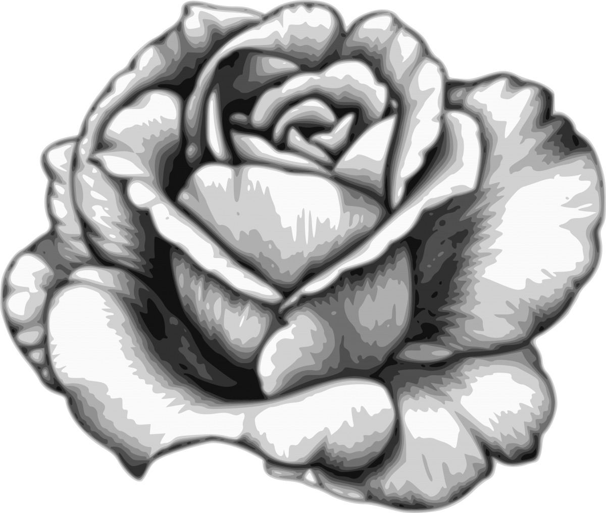 Vector Black and White Rose PNG Kostenloser Download