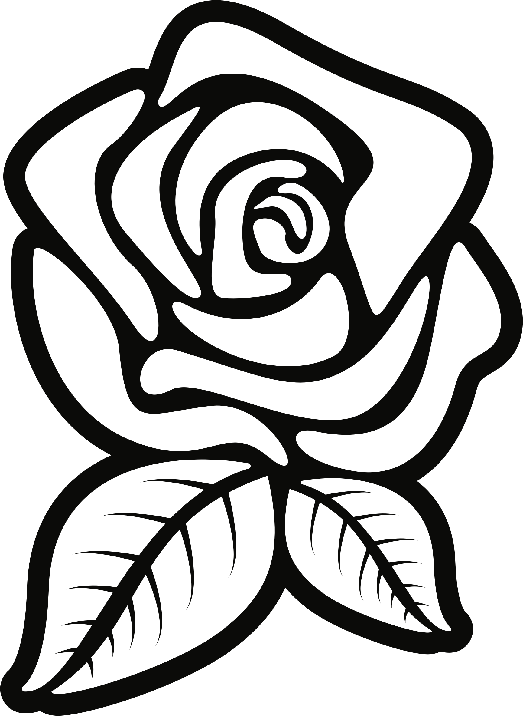 Vector Black And White Rose PNG Photo