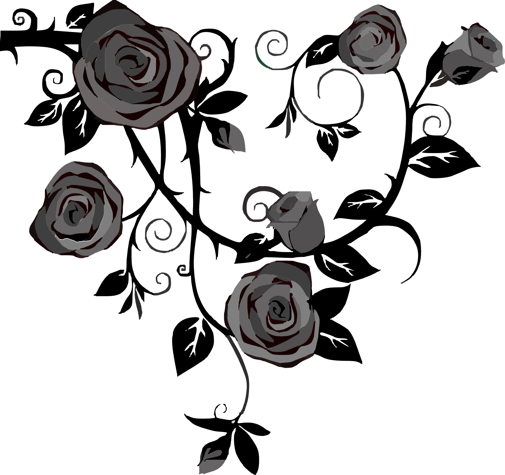 Vector zwart en wit roos Transparant Beeld