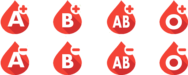 Vector Blood Donation Transparent Images