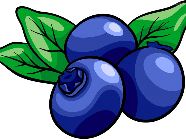 Vector Blueberry PNG Transparant Beeld