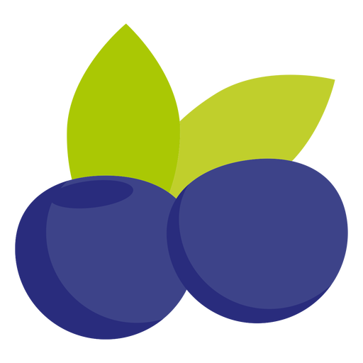 Vector blueberry transparente imagem