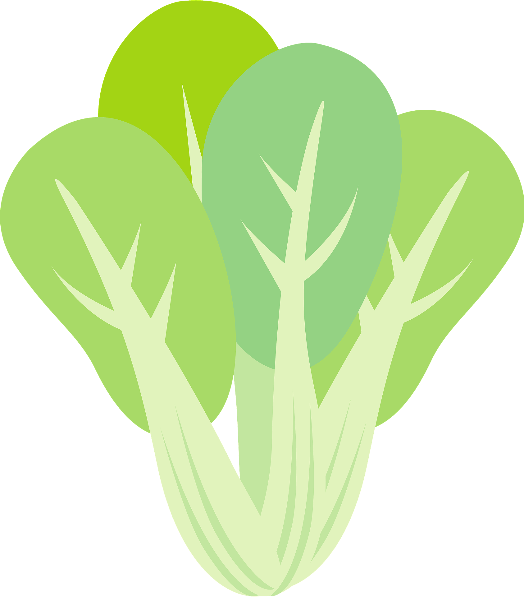 Vector Bok Choy PNG High-Quality Image