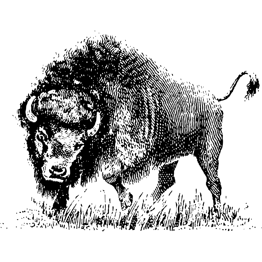 Vector Buffalo PNG Image Background