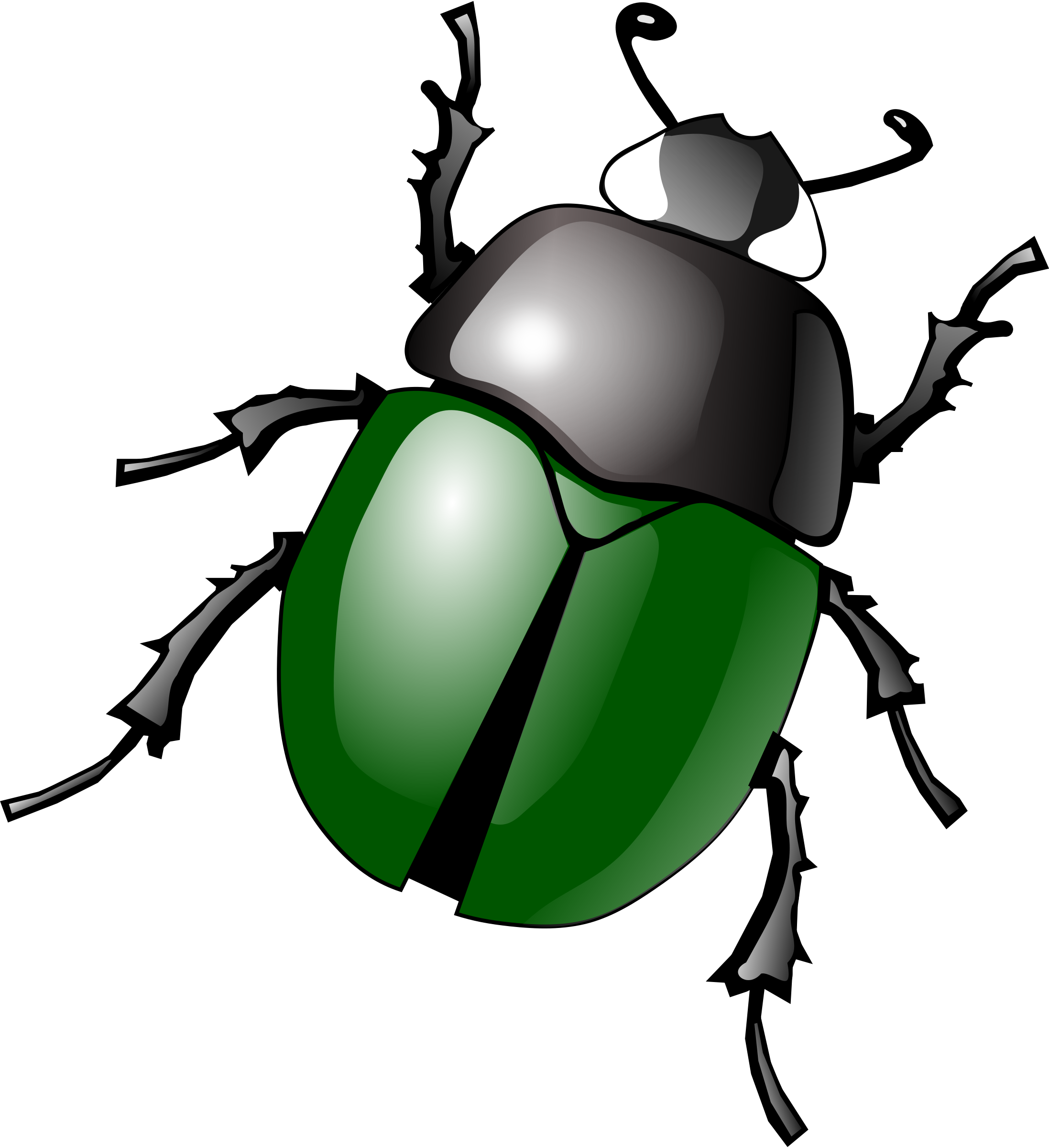Imagen de vector de insectos PNGn de alta calidad