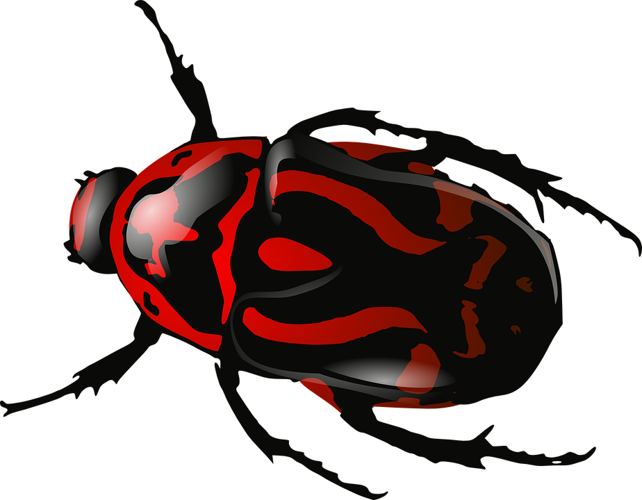 Vector Bugs Transparent Image