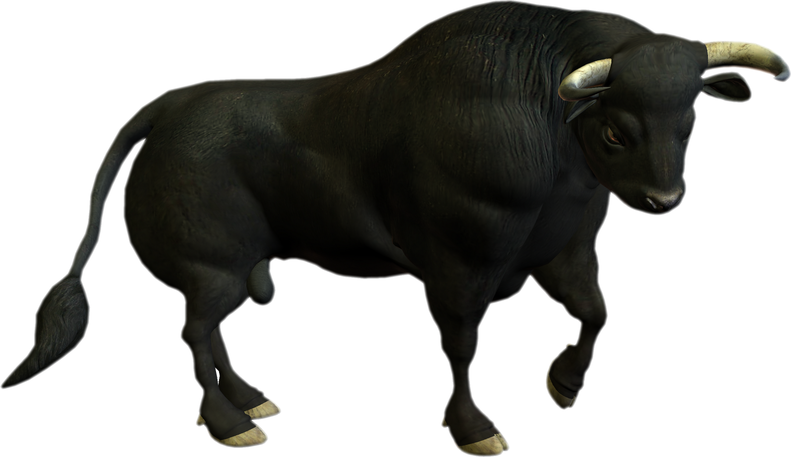 Wild Bull PNG Image