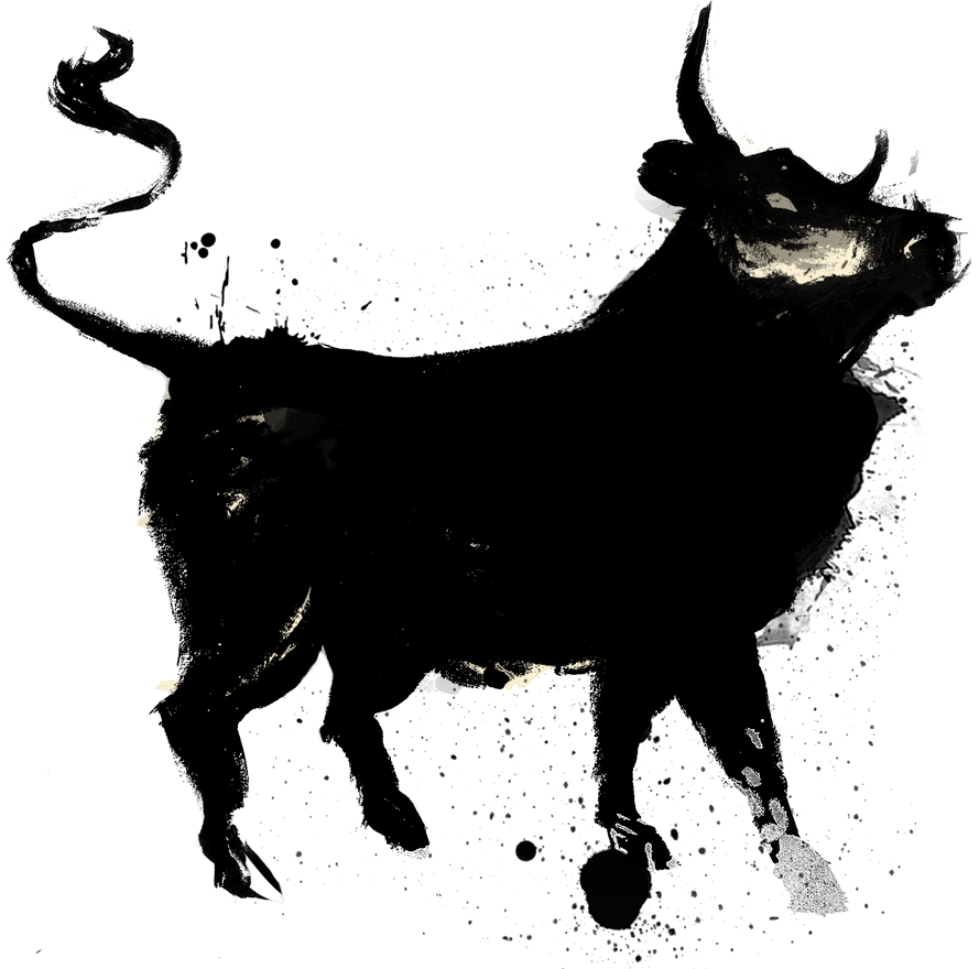 Wild Bull PNG Transparent Image