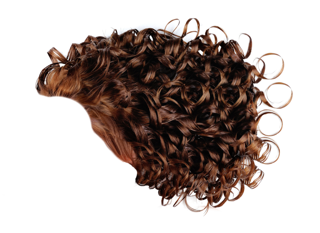 Brown Curly Hair PNG Download Image | PNG Arts