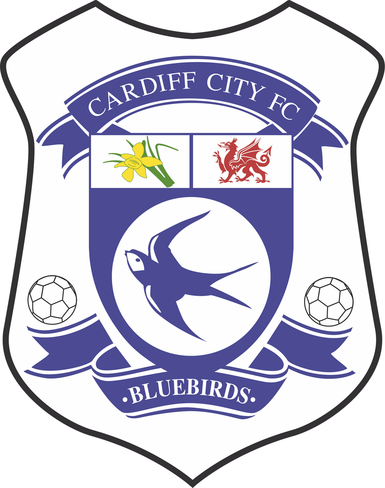Cardiff City F C PNG Скачать изображение