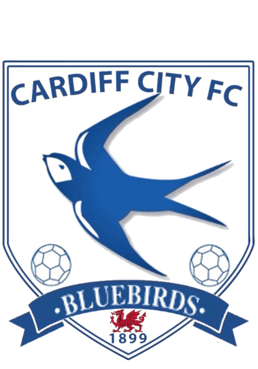 Cardiff City f c PNG Foto