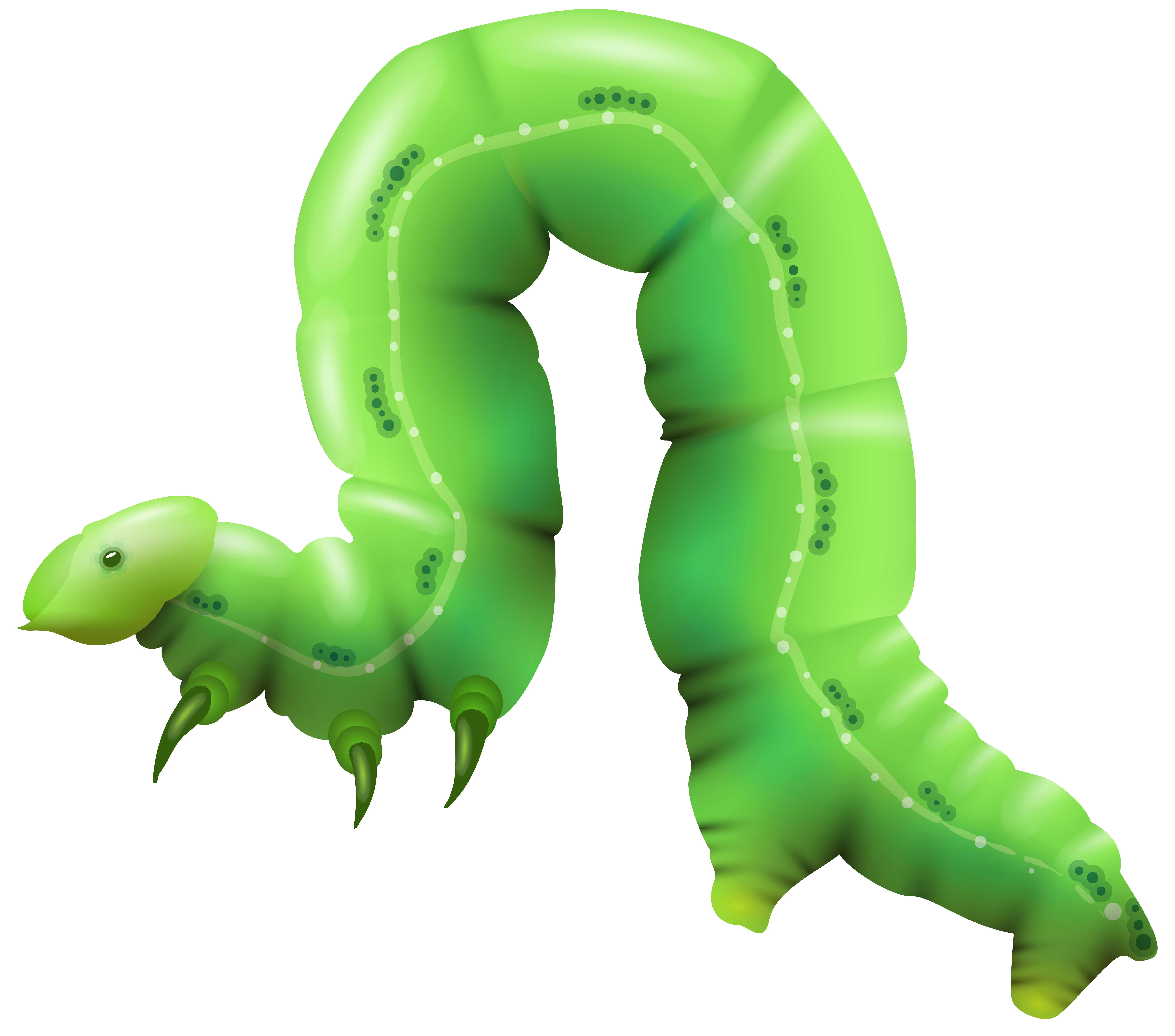 Caterpillar Transparante achtergrond