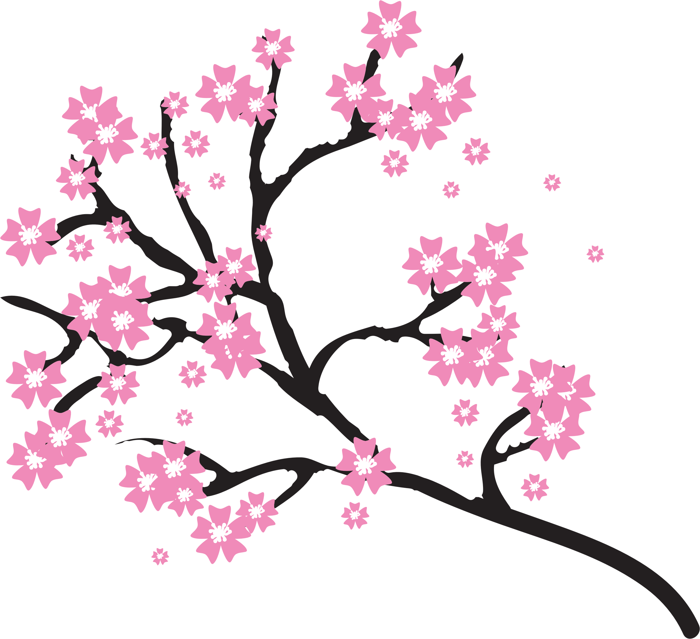Imagen PNG de la flor de cerezo