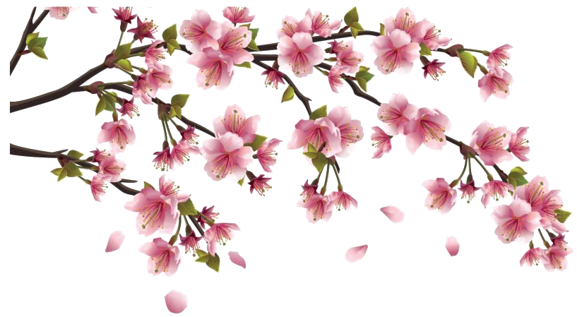 Chinesisches Blumen-PNG-Bild