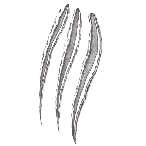 Claw Scratch PNG Download Image