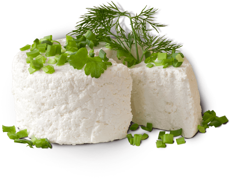 Cottage Cheese PNG Pic