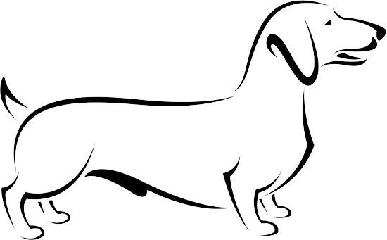Dachshund Dog бесплатно PNG Image