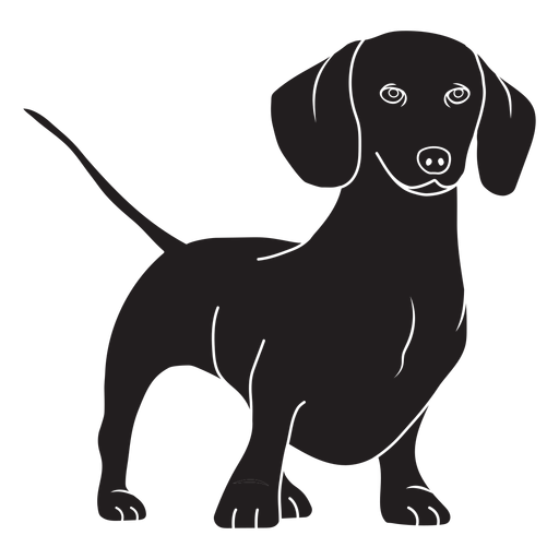 Sfondo di immagine del cane dachshund dog PNG