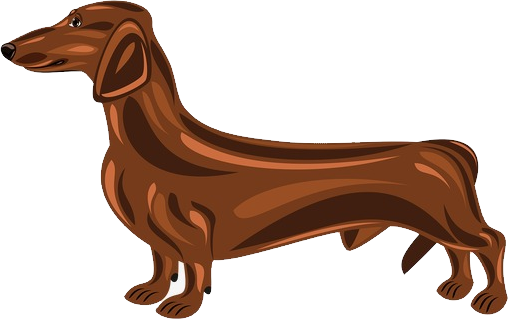 Dachshund Dog PNG Image