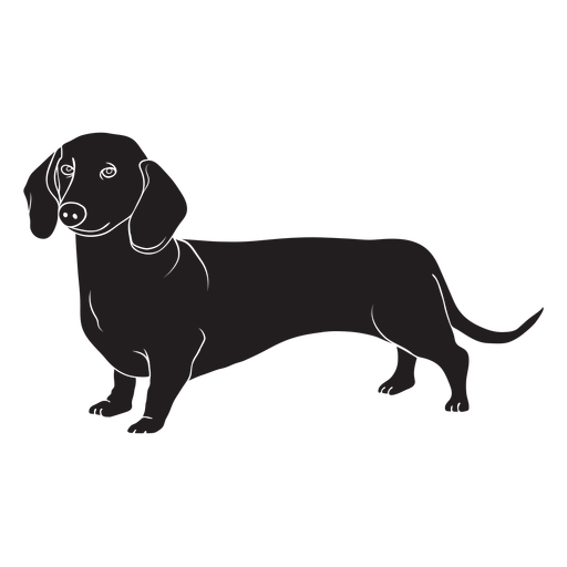 Image Transparente de chien Dachshund