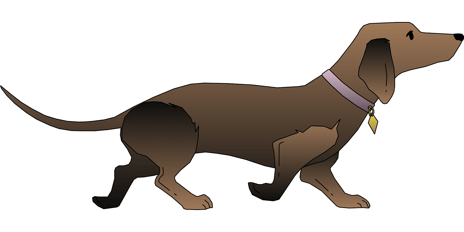 dachshund pet PNG تحميل صورة