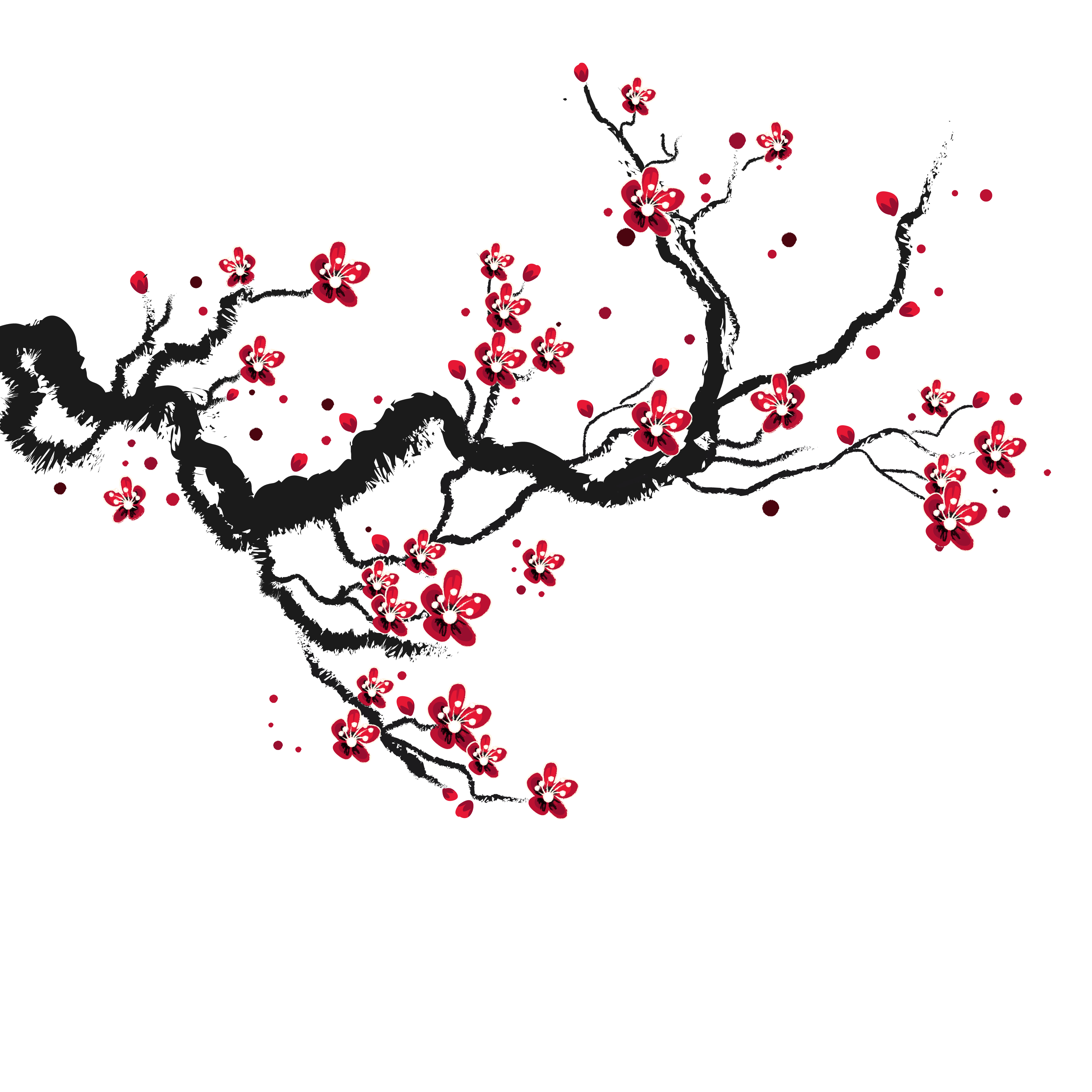 Frühlingskirschblüten-PNG-transparentes Bild