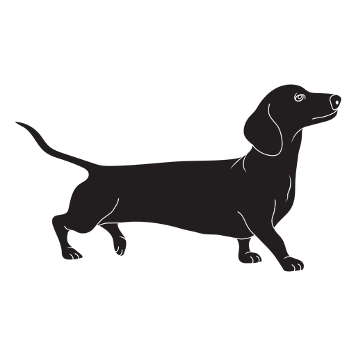 Vector Dachshund PNG Image