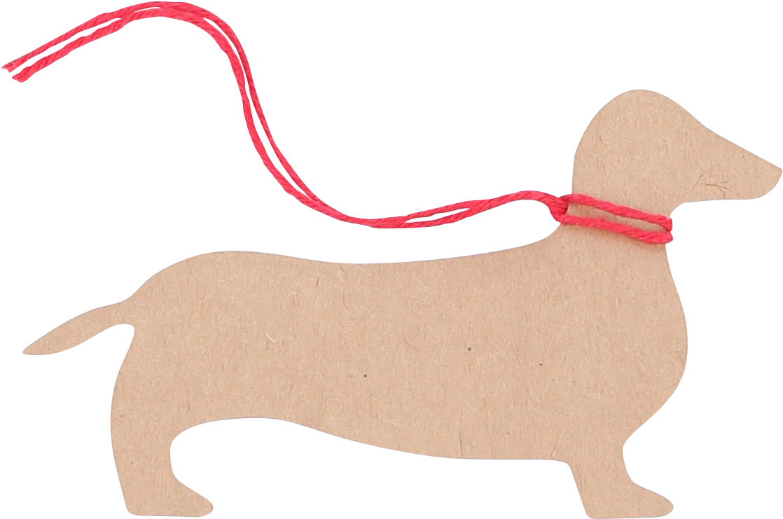 Vector Dachshund PNG photo