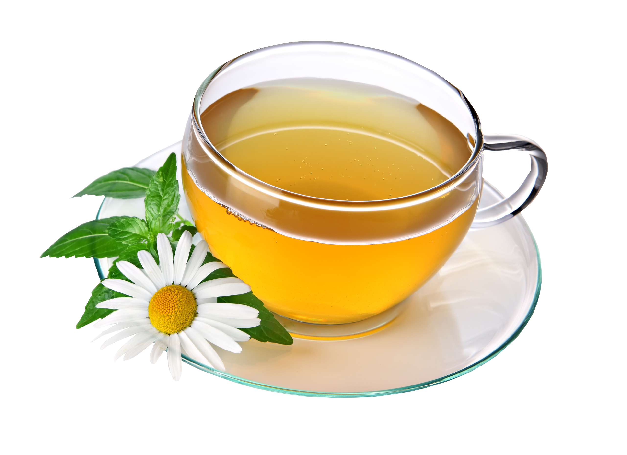 White Chamomile PNG Pic