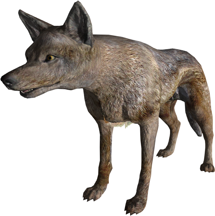 Coyote PNG HQ Pic