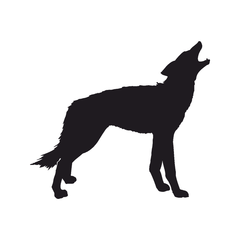 Coyote Silhouette PNG Image