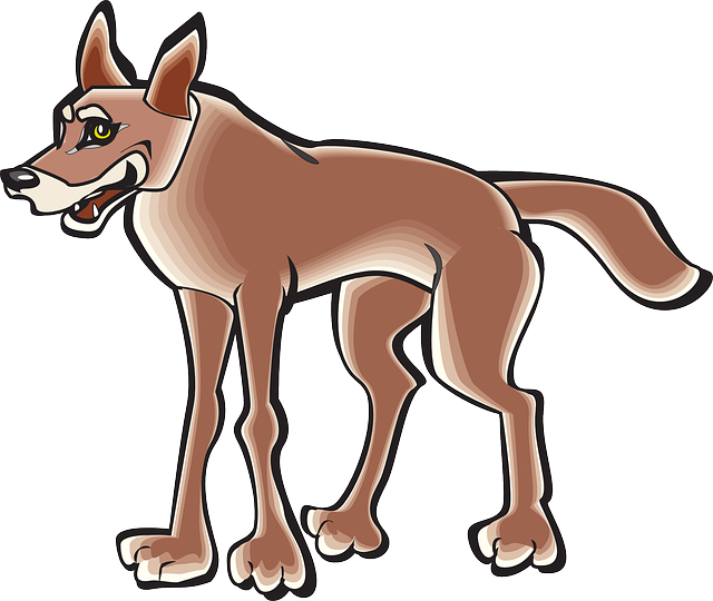 Coyote Vector Free PNG Image