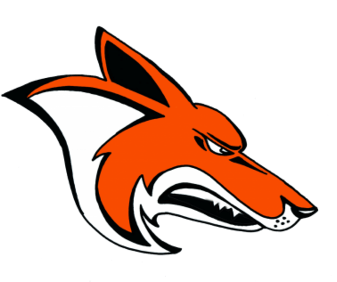 Coyote Vector PNG Image