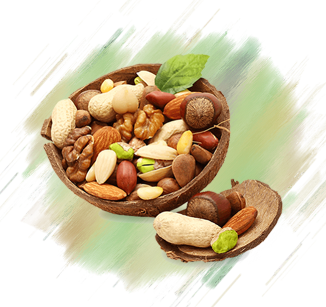 Dry Fruit PNG Pic HQ