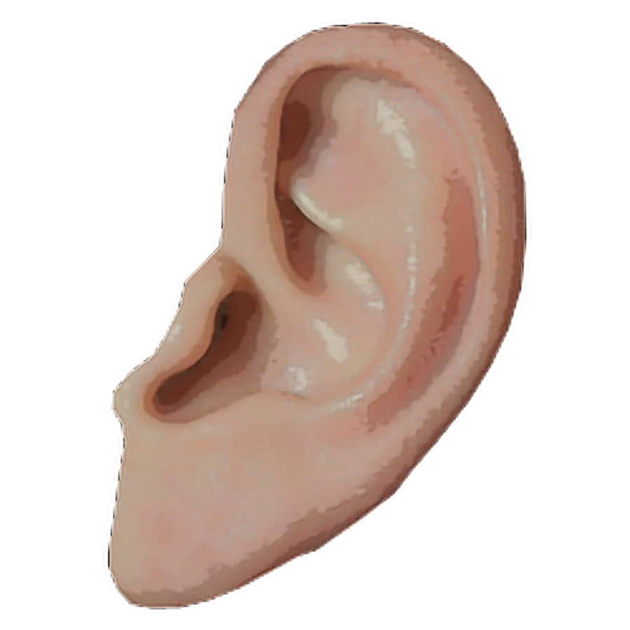 Ear PNG HQ Picture