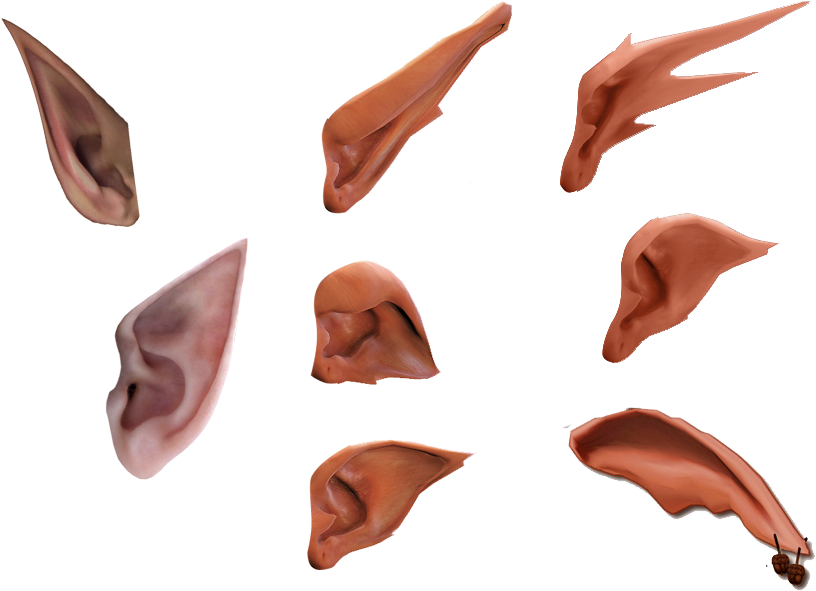 Ear PNG Pic