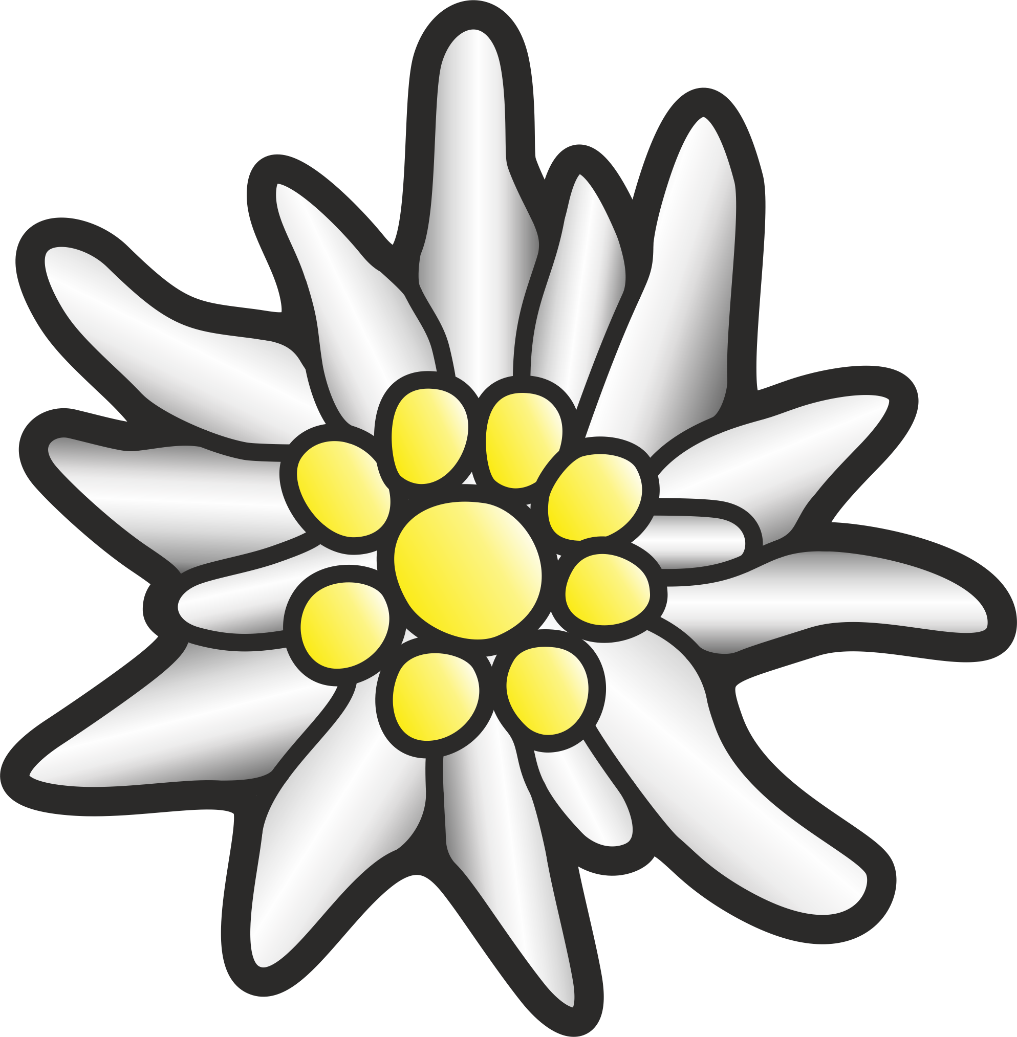 Edelweiss Free PNG Image