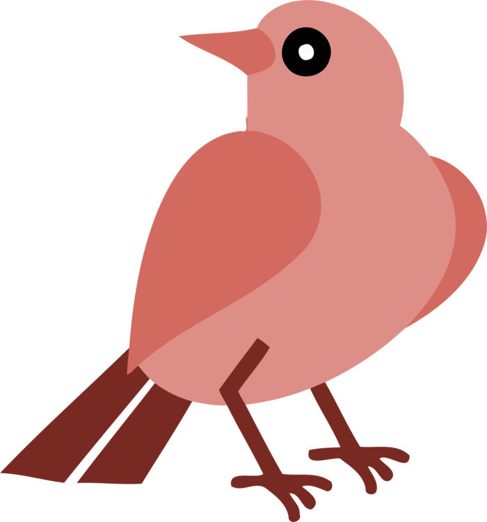 Europese Robin Bird PNG-Afbeelding
