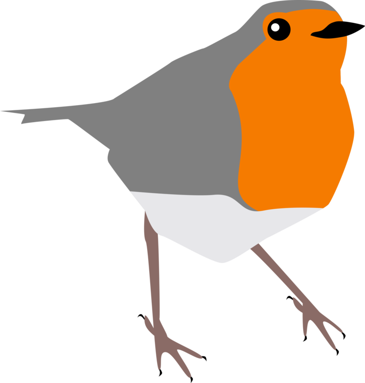 Europäischer Robin-Vogel transparent