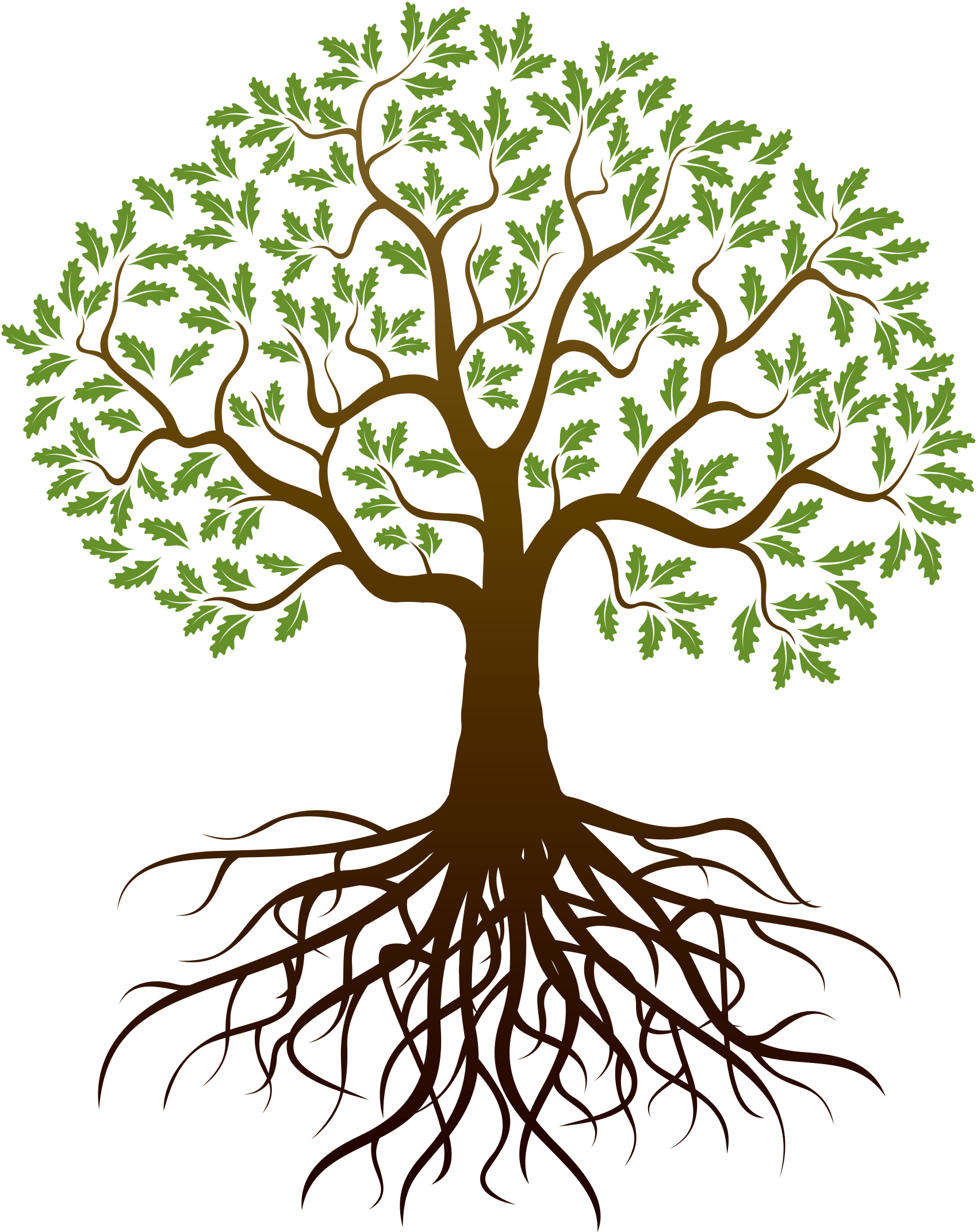 Family Reunion Tree PNG