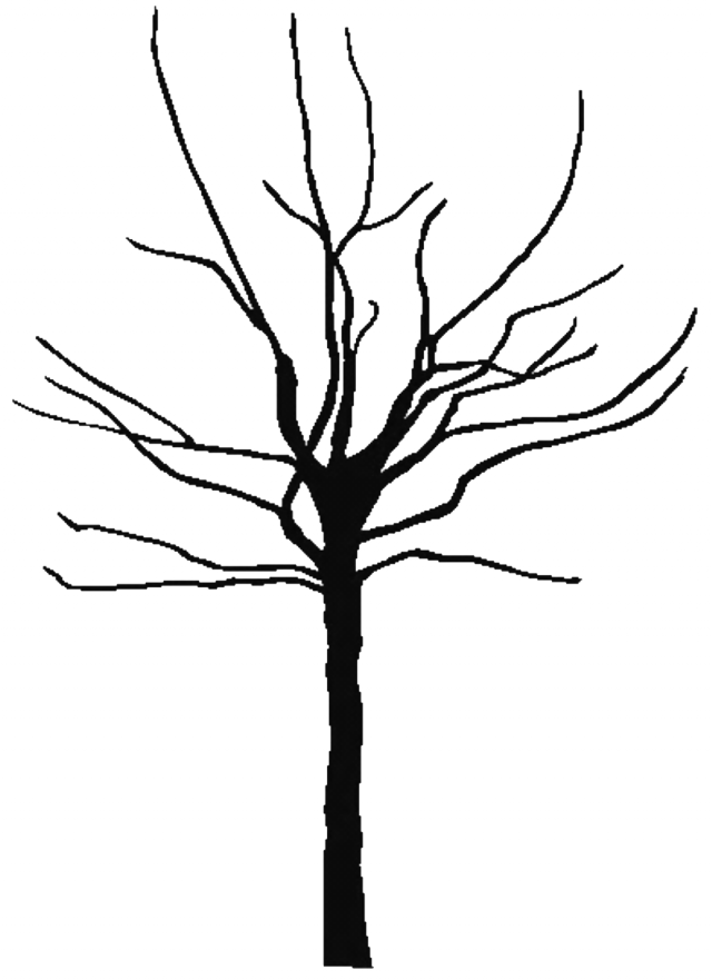 Clipart de árvore genealógica PNG