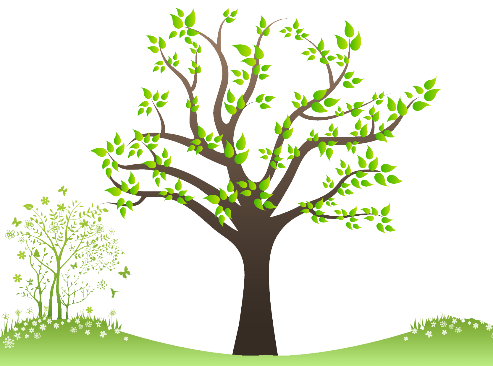 Family Tree HD PNG